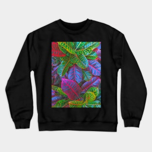 Stylized Crotons Plant Crewneck Sweatshirt